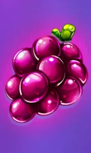 20 Sweet Candies & Fruits